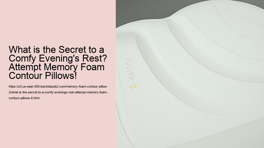 What is the Secret to a Comfy Evening's Rest? Attempt Memory Foam Contour Pillows!