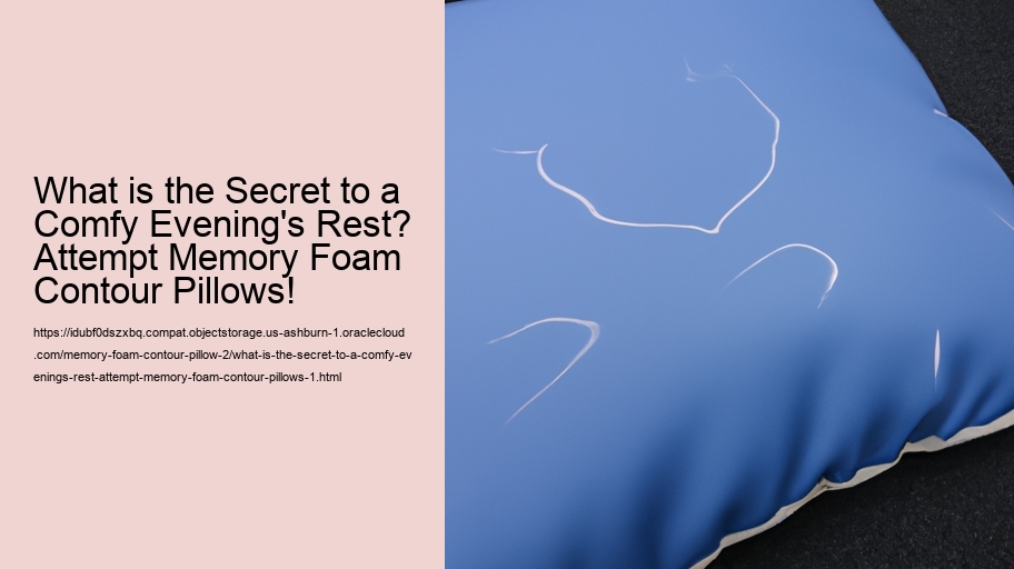 What is the Secret to a Comfy Evening's Rest? Attempt Memory Foam Contour Pillows!