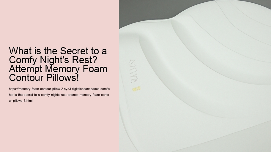 What is the Secret to a Comfy Night's Rest? Attempt Memory Foam Contour Pillows!