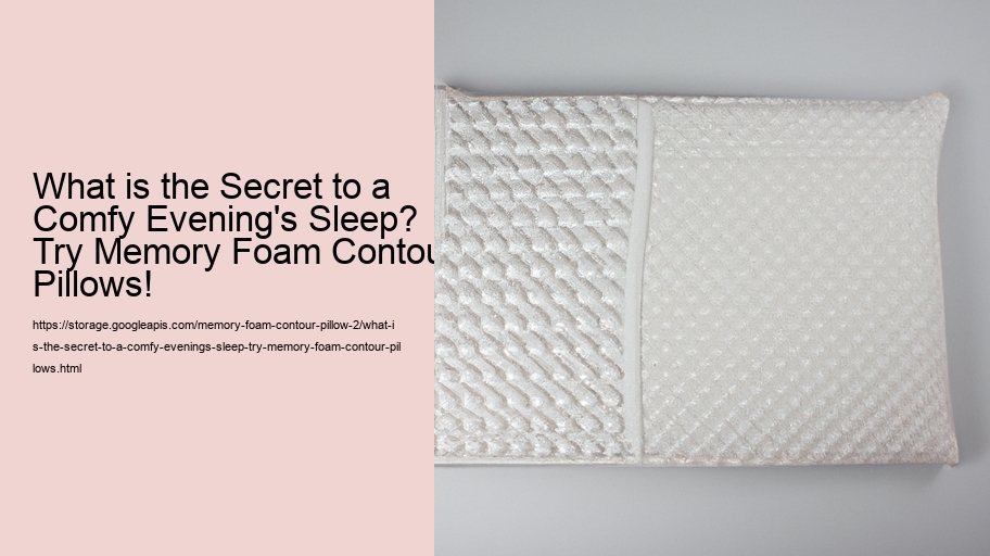 What is the Secret to a Comfy Evening's Sleep? Try Memory Foam Contour Pillows!