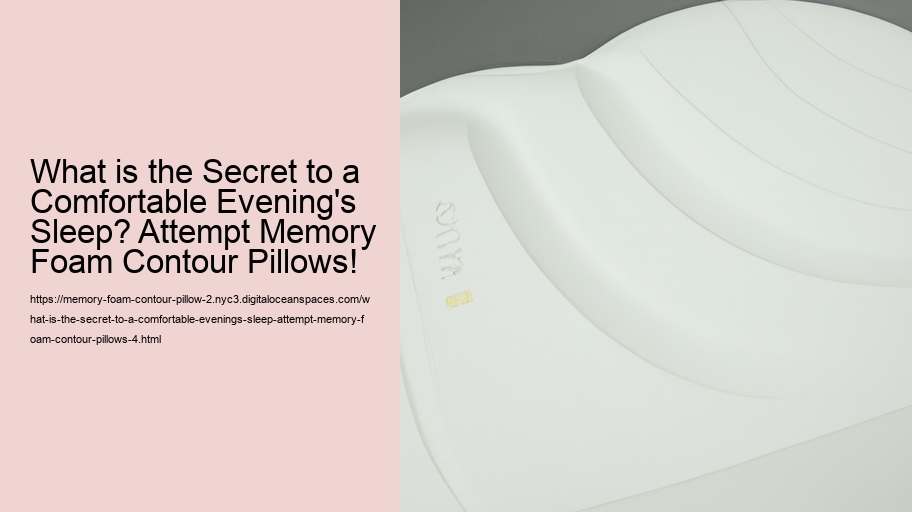 What is the Secret to a Comfortable Evening's Sleep? Attempt Memory Foam Contour Pillows!