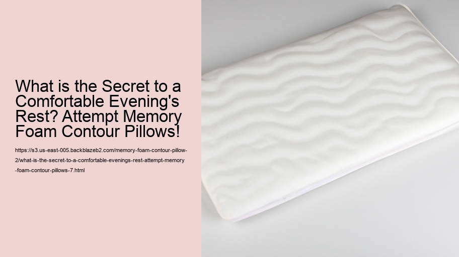 What is the Secret to a Comfortable Evening's Rest? Attempt Memory Foam Contour Pillows!