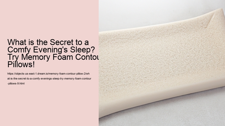 What is the Secret to a Comfy Evening's Sleep? Try Memory Foam Contour Pillows!