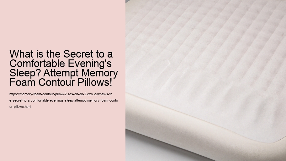 What is the Secret to a Comfortable Evening's Sleep? Attempt Memory Foam Contour Pillows!