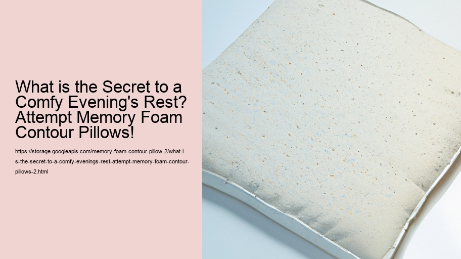 What is the Secret to a Comfy Evening's Rest? Attempt Memory Foam Contour Pillows!