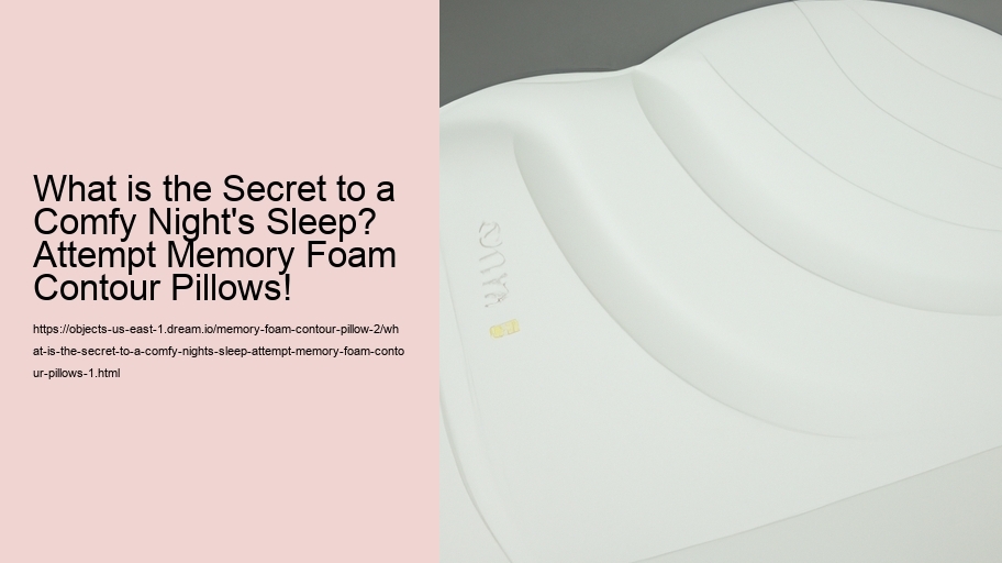What is the Secret to a Comfy Night's Sleep? Attempt Memory Foam Contour Pillows!