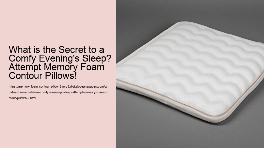 What is the Secret to a Comfy Evening's Sleep? Attempt Memory Foam Contour Pillows!
