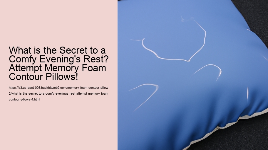 What is the Secret to a Comfy Evening's Rest? Attempt Memory Foam Contour Pillows!
