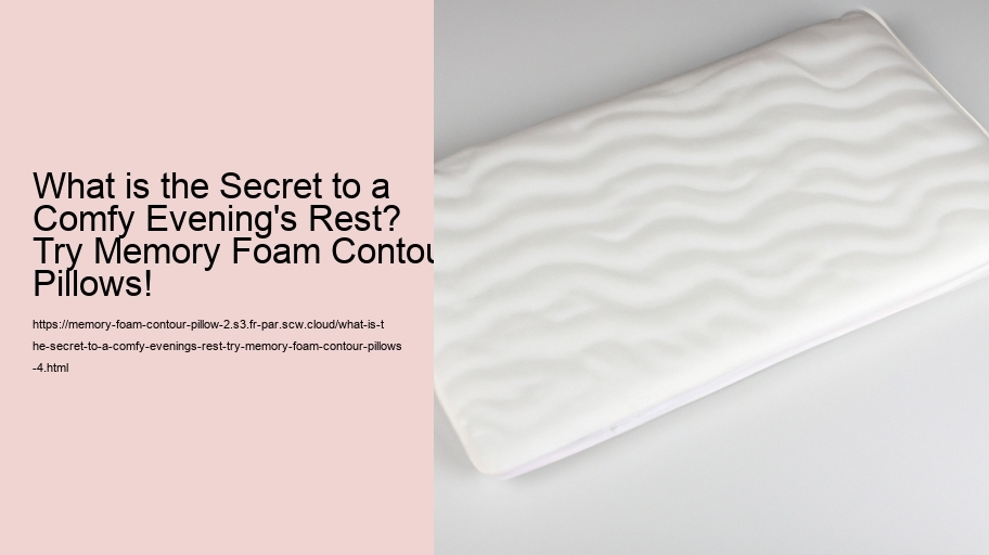 What is the Secret to a Comfy Evening's Rest? Try Memory Foam Contour Pillows!