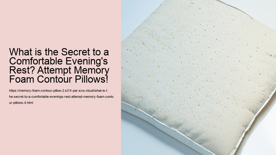 What is the Secret to a Comfortable Evening's Rest? Attempt Memory Foam Contour Pillows!