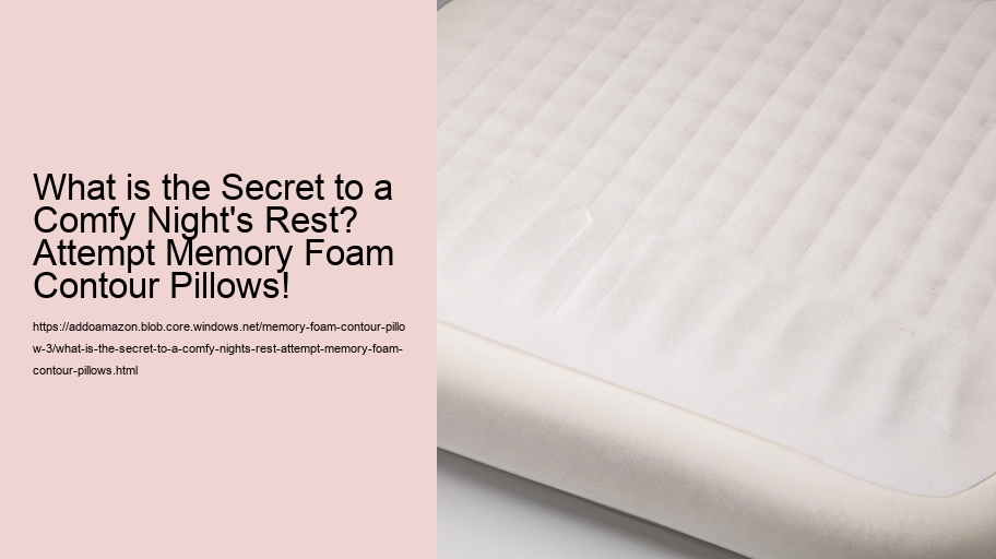 What is the Secret to a Comfy Night's Rest? Attempt Memory Foam Contour Pillows!