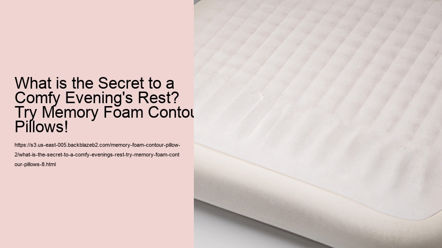What is the Secret to a Comfy Evening's Rest? Try Memory Foam Contour Pillows!