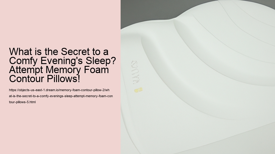 What is the Secret to a Comfy Evening's Sleep? Attempt Memory Foam Contour Pillows!