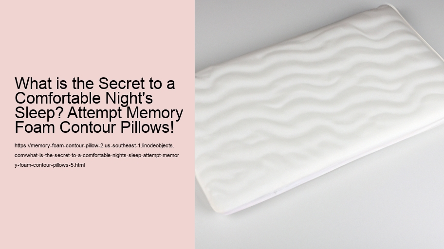 What is the Secret to a Comfortable Night's Sleep? Attempt Memory Foam Contour Pillows!