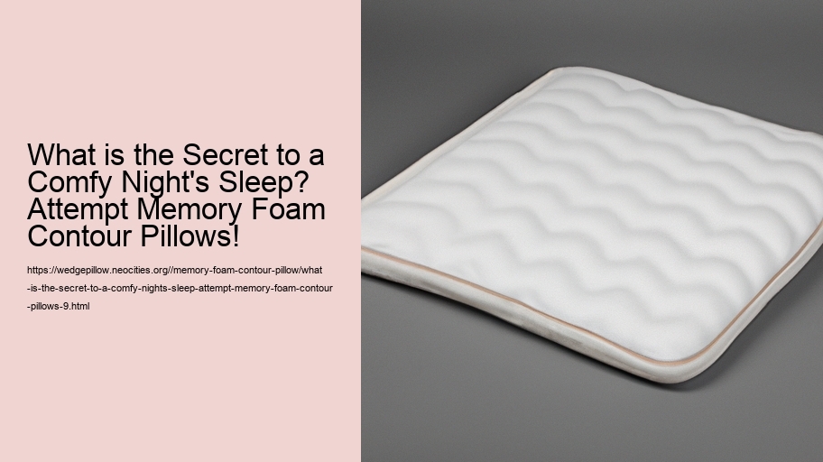 What is the Secret to a Comfy Night's Sleep? Attempt Memory Foam Contour Pillows!
